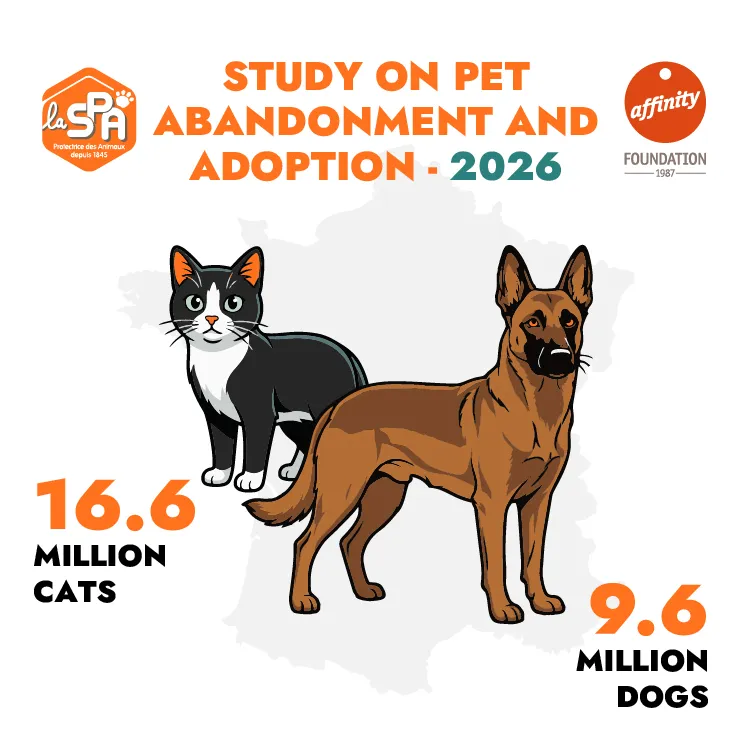 Datos de animales abandonados Datos de animales abandonados