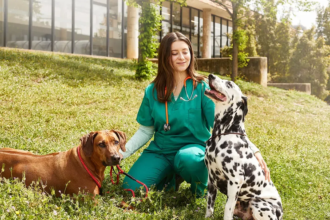 Nuevo estudio sobre la calidad de vida profesional en el sector veterinario Nuevo estudio sobre la calidad de vida profesional en el sector veterinario