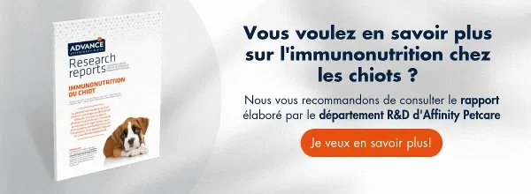 New call-to-action New call-to-action