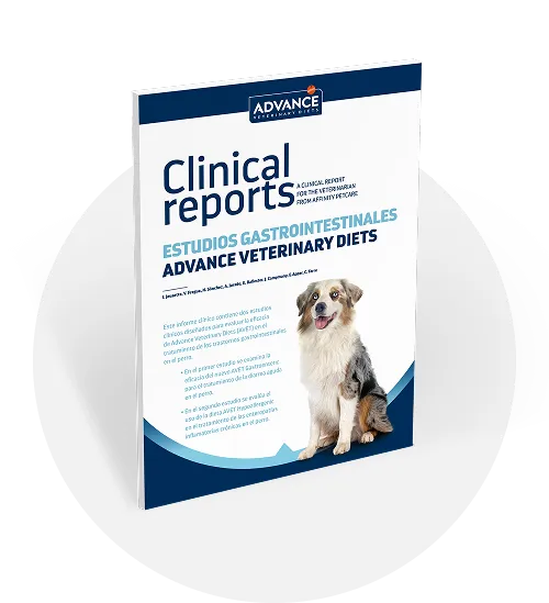 Tratamiento de los trastornos gastrointestinales en perros