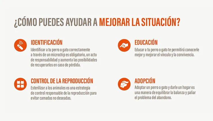 Estrategias para mejorar la situación de abandono