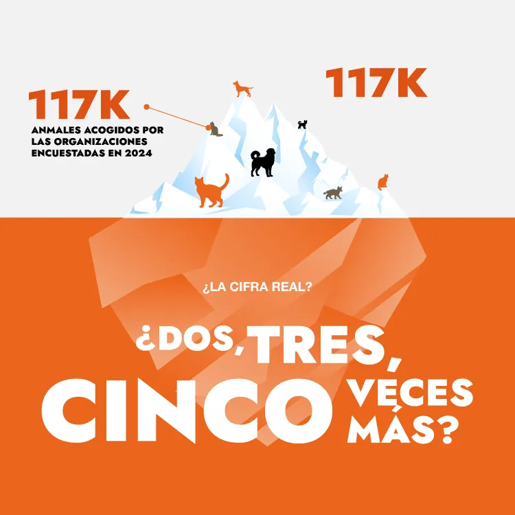 Estimación de número de perros y gatos acogidos en Francia por organizaciones en 2024