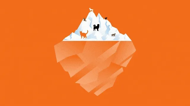 Imagen de un igloo parte de la infografía del estudio de abandono y adopción en Francia Imagen de un igloo parte de la infografía del estudio de abandono y adopción en Francia