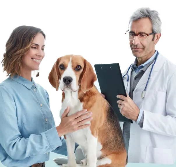 Un veterinario examinando un perro con su dueña al lado