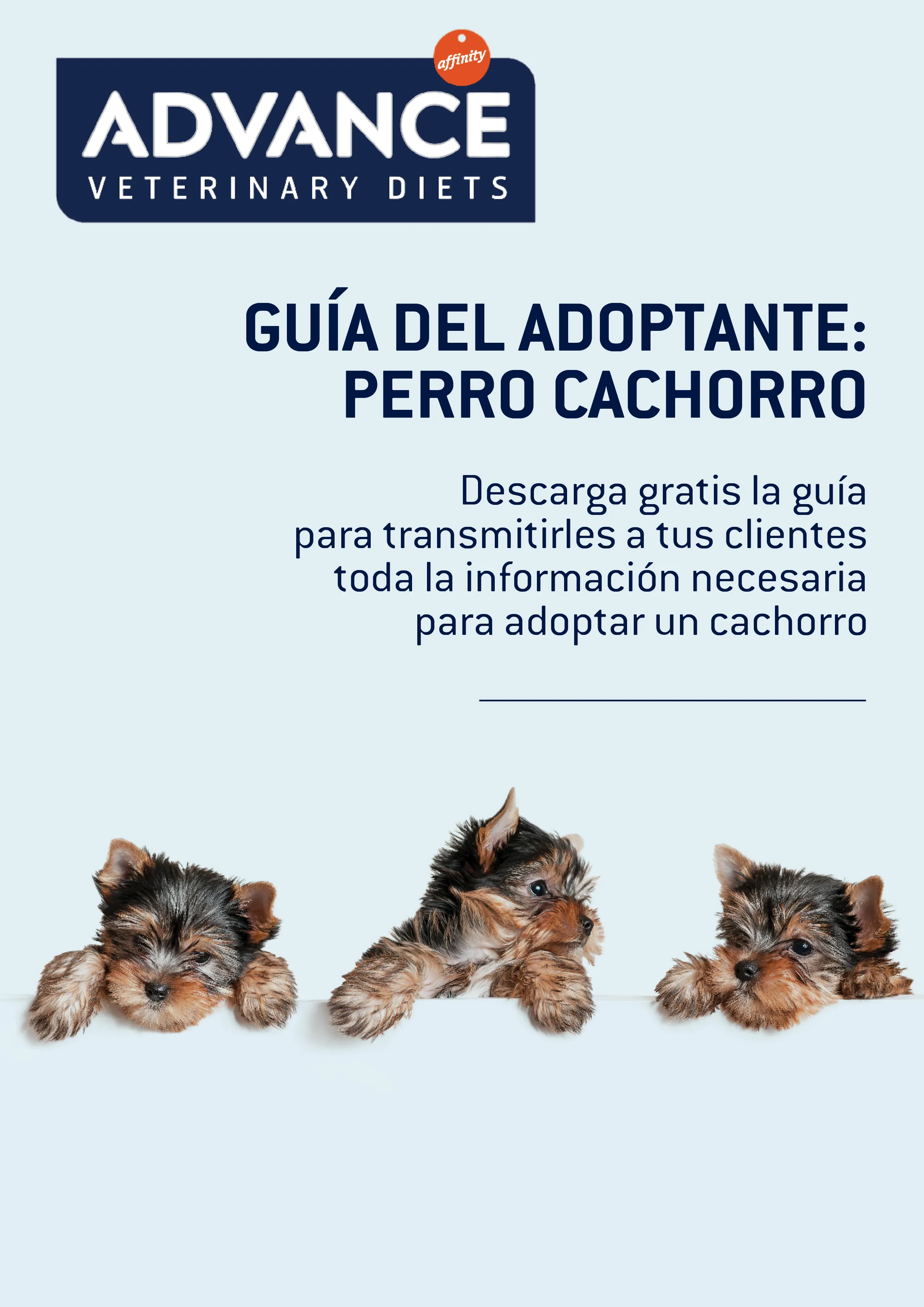 portada_guia_adoptante portada_guia_adoptante