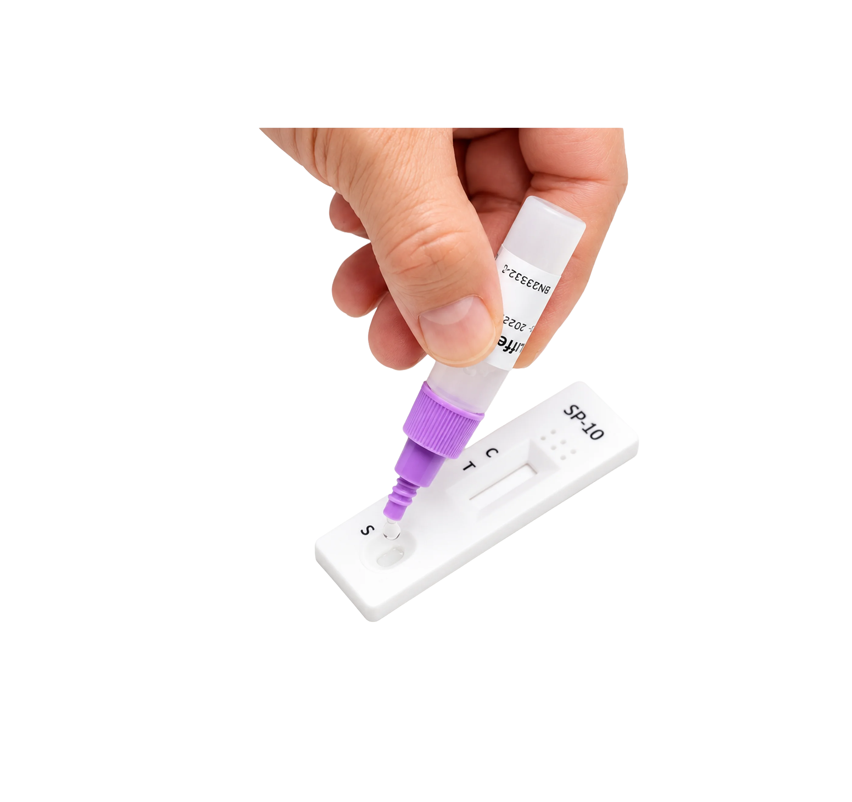 Run the Test