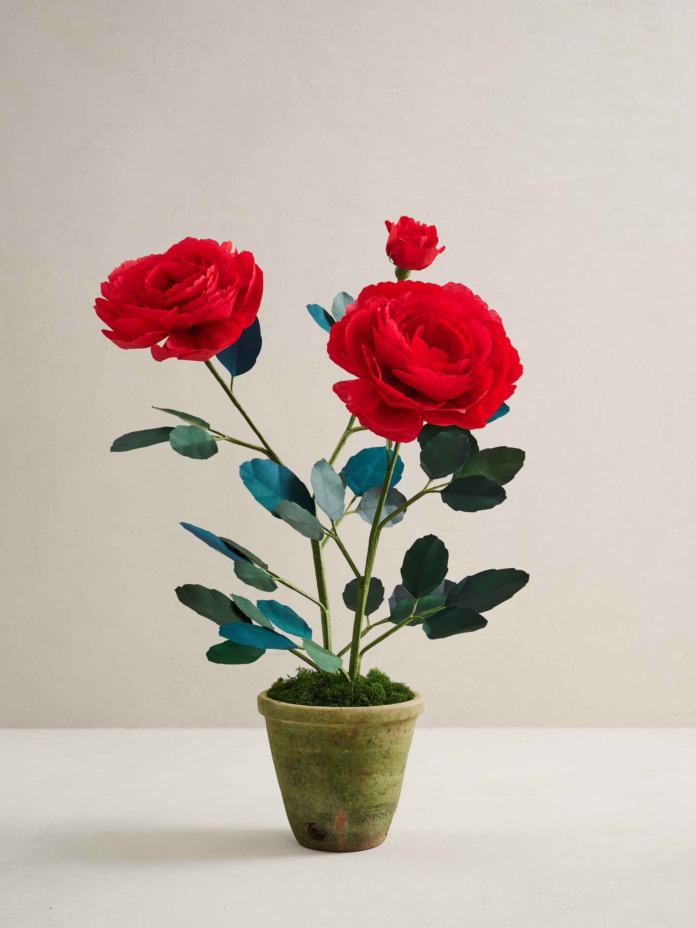 Pink Potted Chevalier Rose by Livia Cetti | Ken Fulk