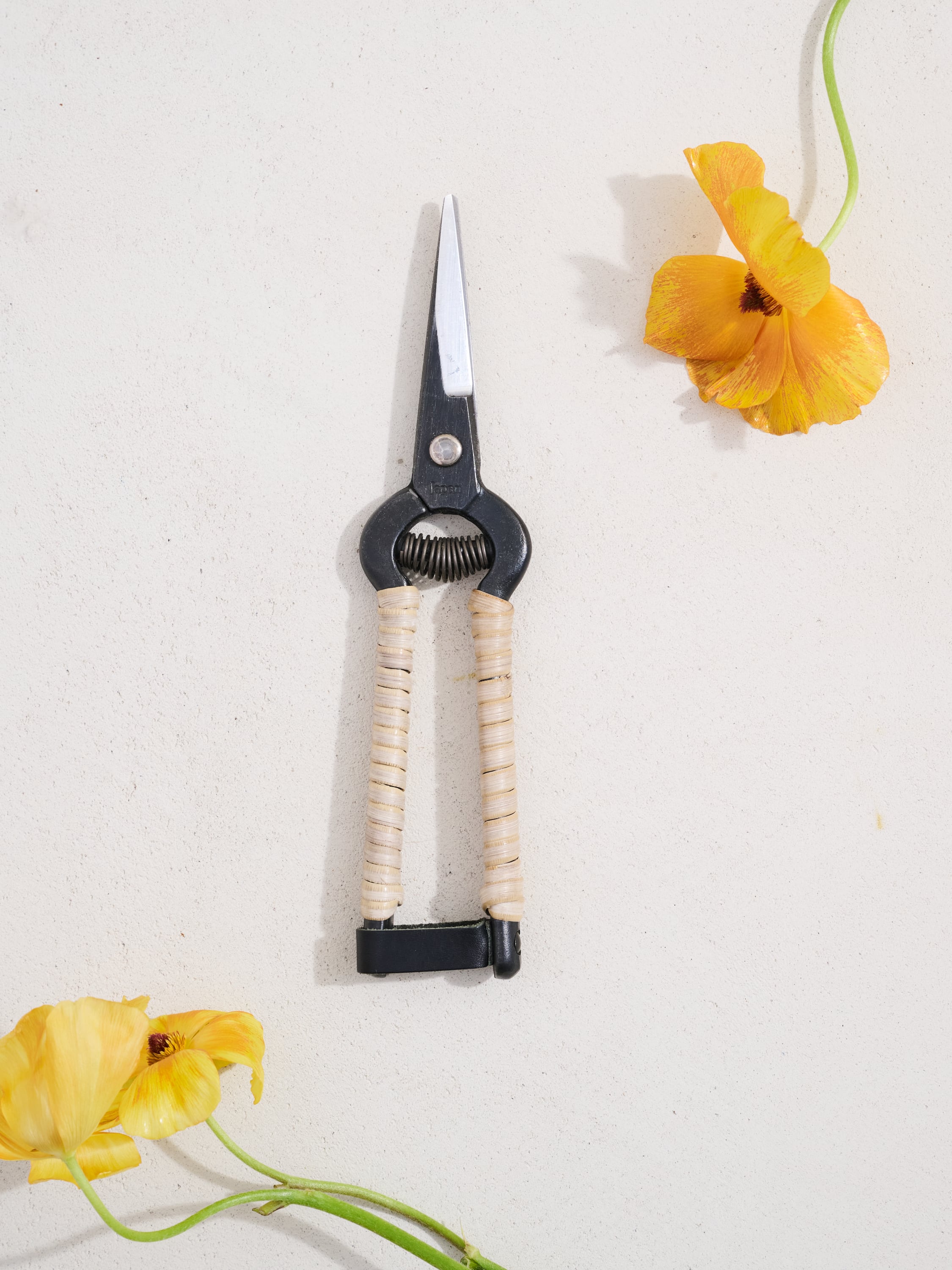 Taira Okuba Scissors | Ken Fulk