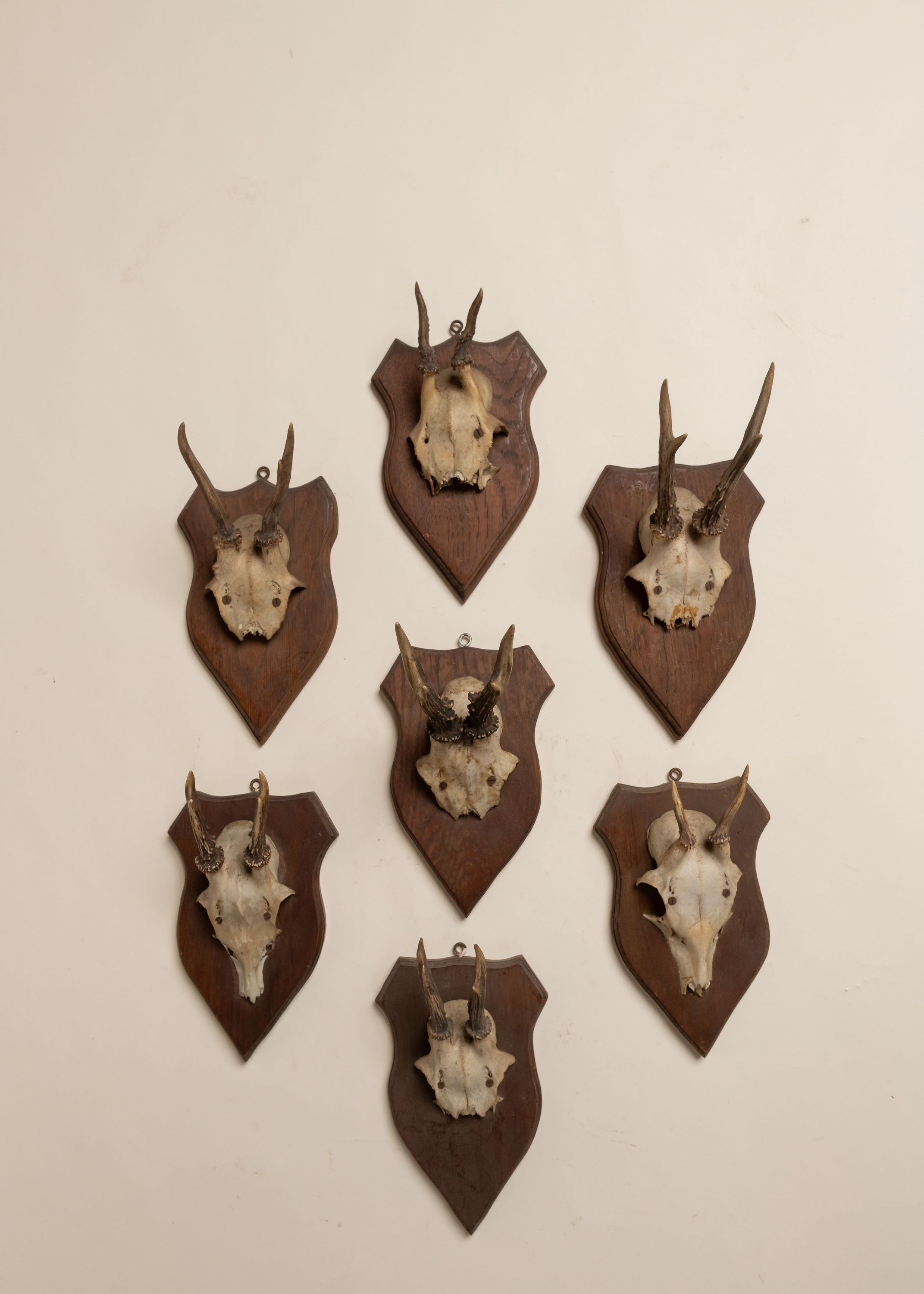 Antique Black Forest Antler Trophy, 20th C | Ken Fulk