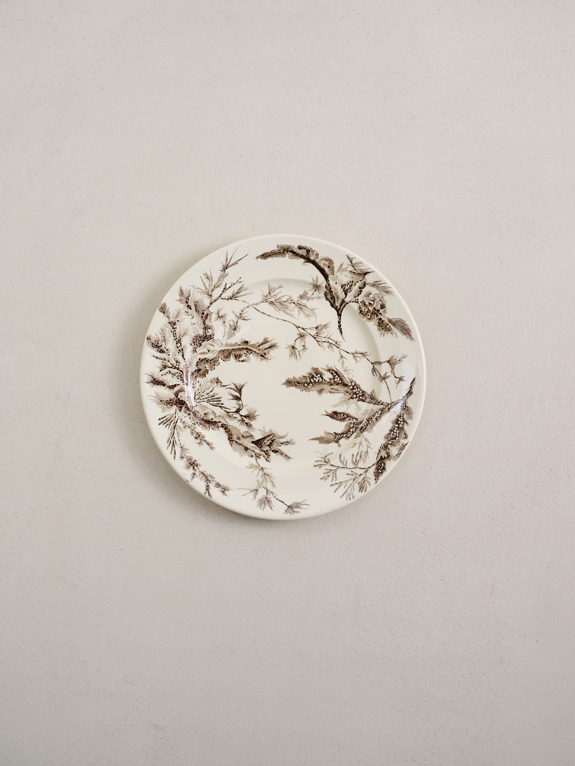 食器 WEDG WOOD Wedgwood Brown Dinner Plate, Seaweed 1883 | Ken Fulk