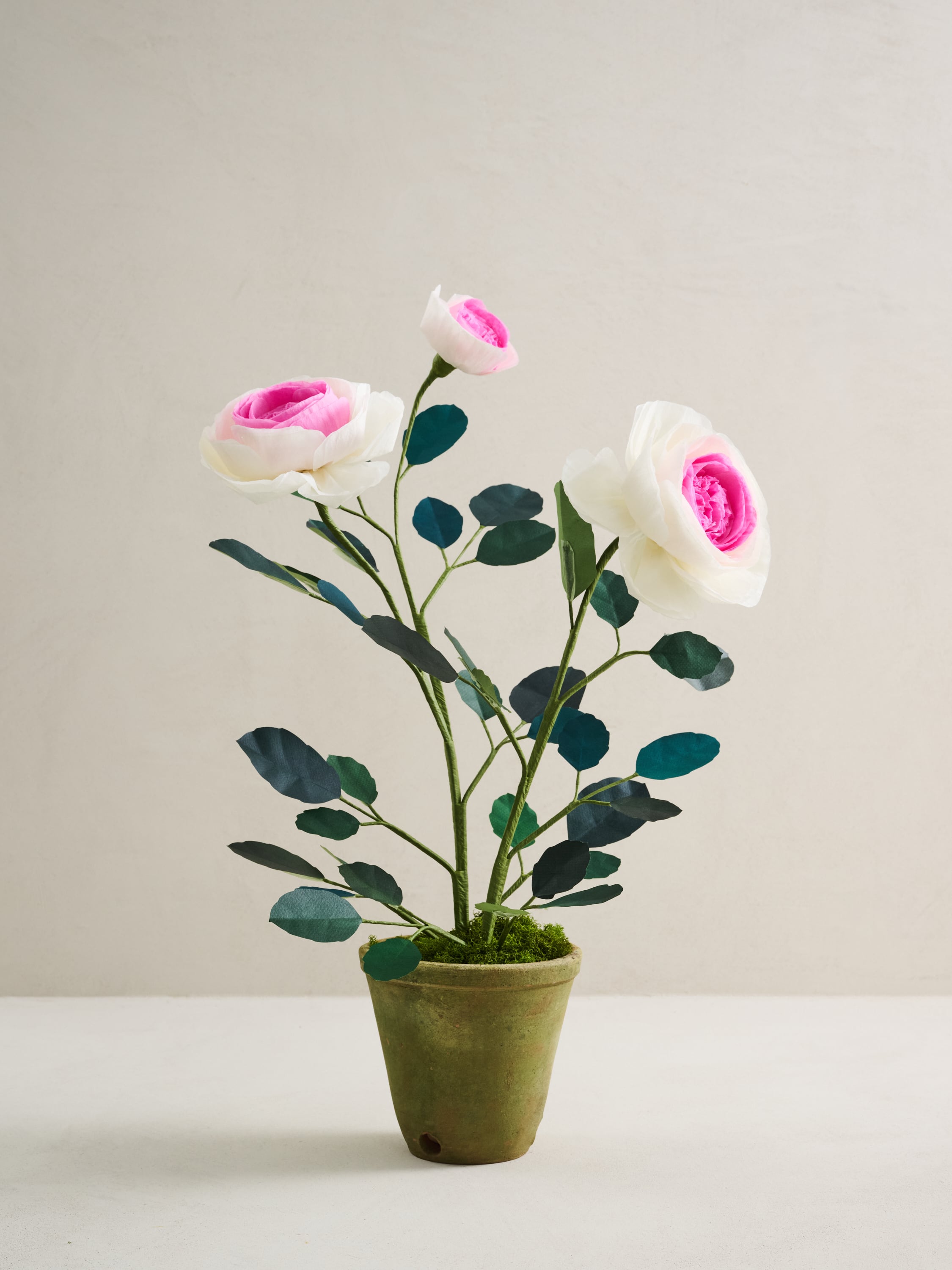 8aee54dfbbea21d675d5e6491da759