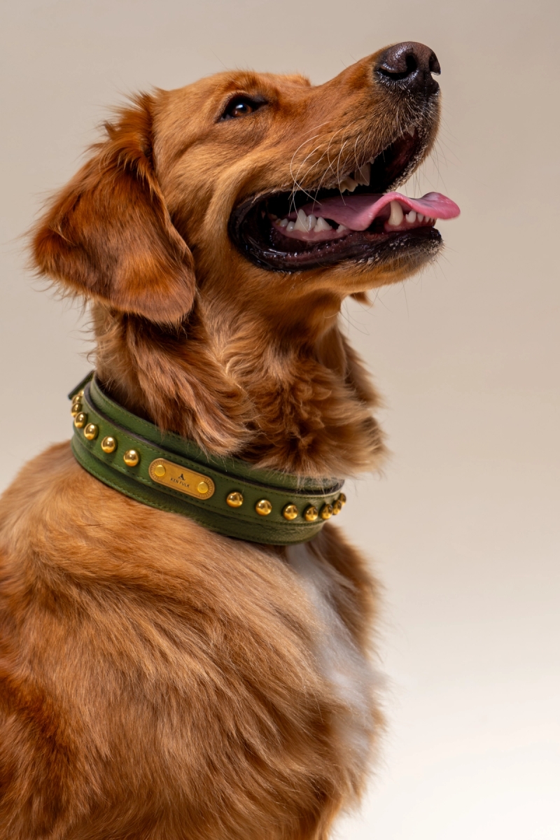 We craft collections you will always treasure