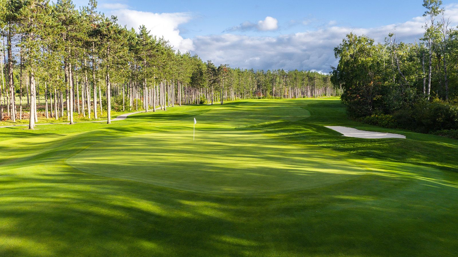 Golf Course  Arthur Hills 5