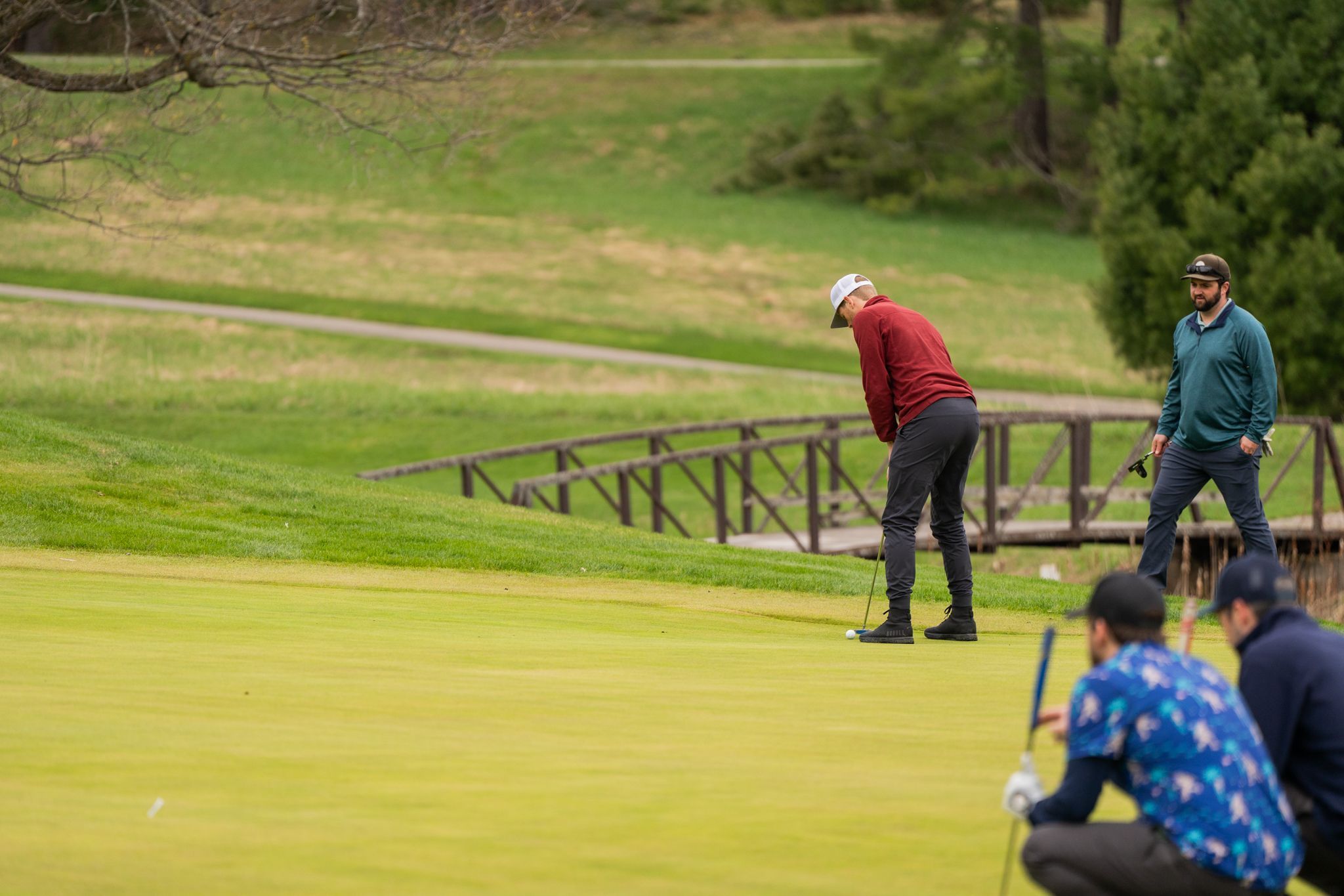 Guy putting at the Hemlock Open