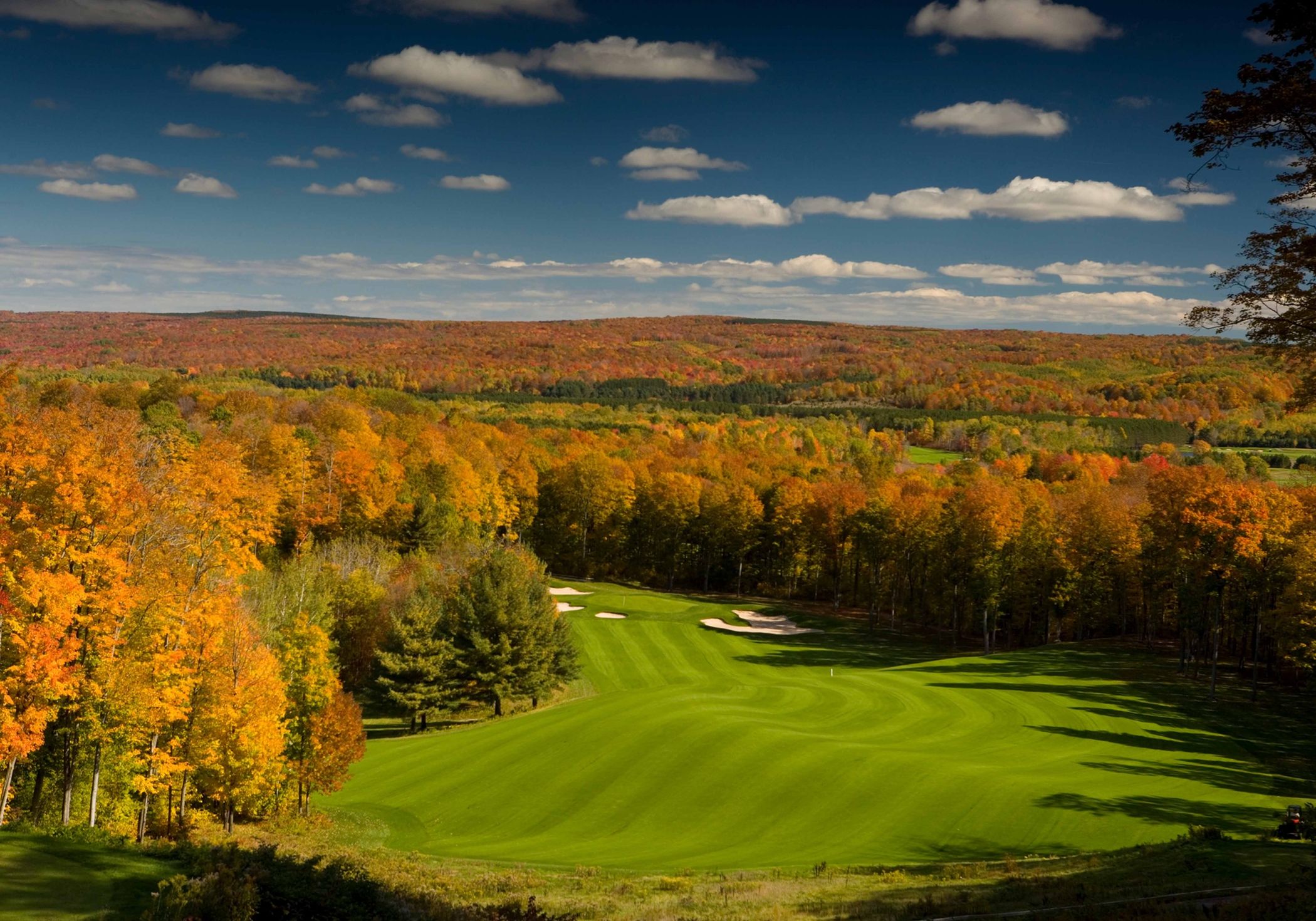 Arthur Hills #13 in the fall