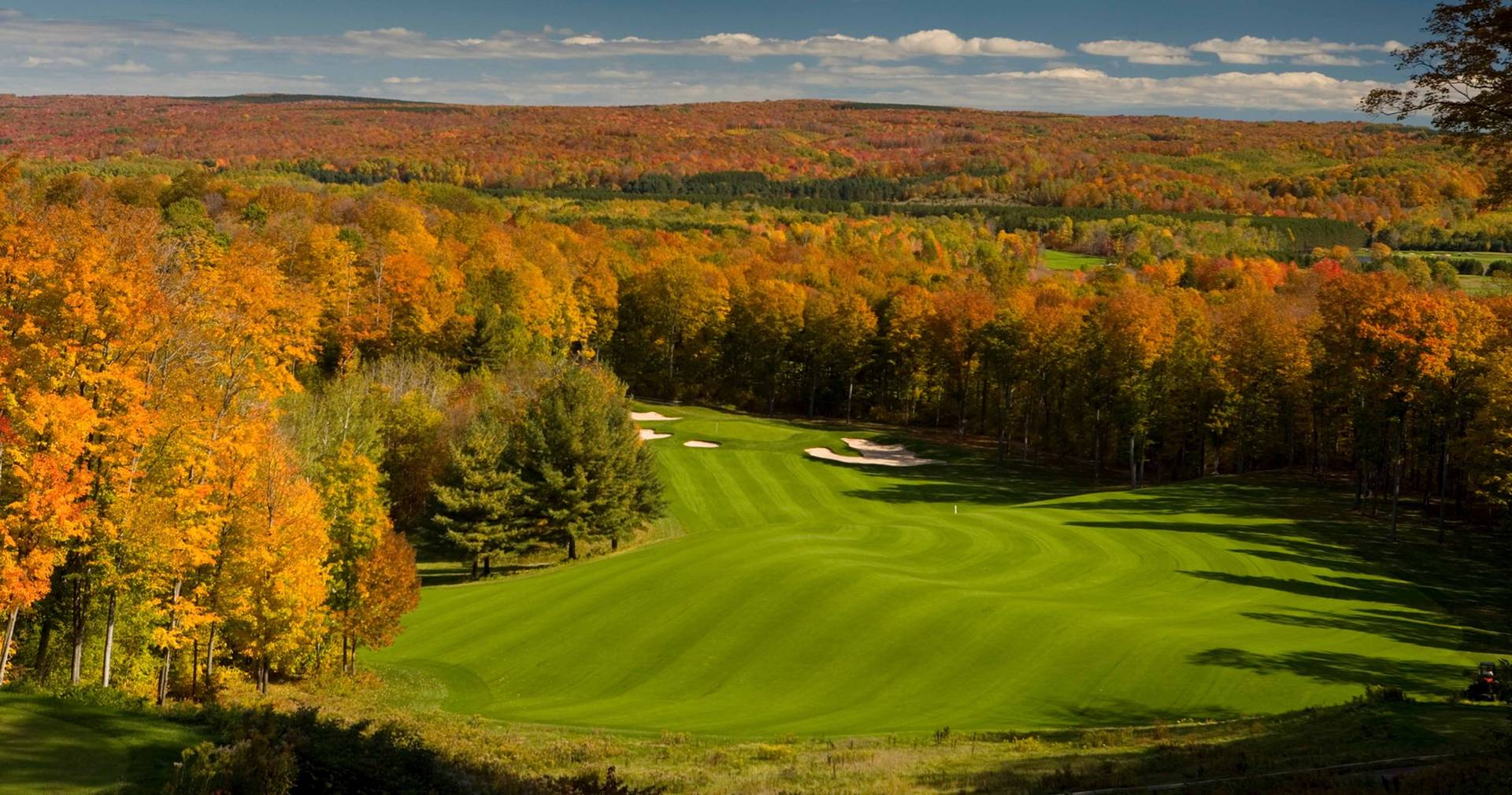 Arthur Hills #13 in the fall