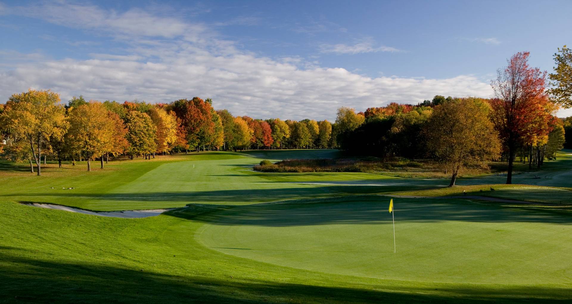 Heather #9 in the fall