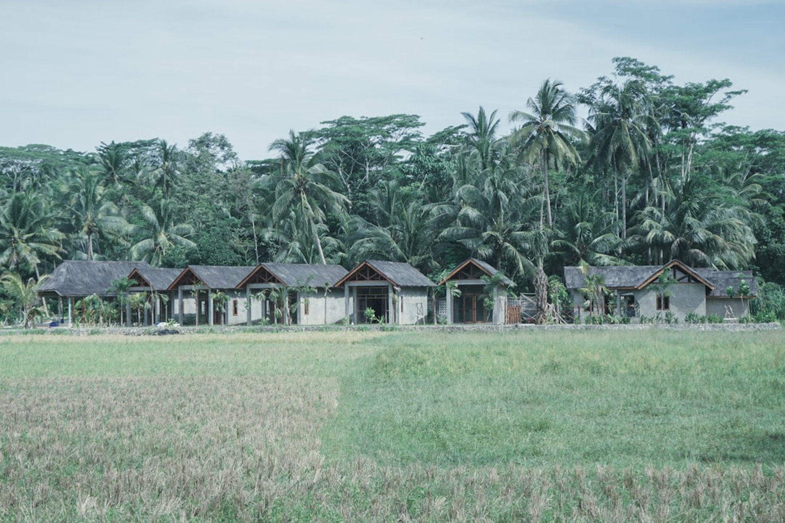 Cluster Duta Garden Tangerang: Panduan Lengkap Calon Pembeli 2026