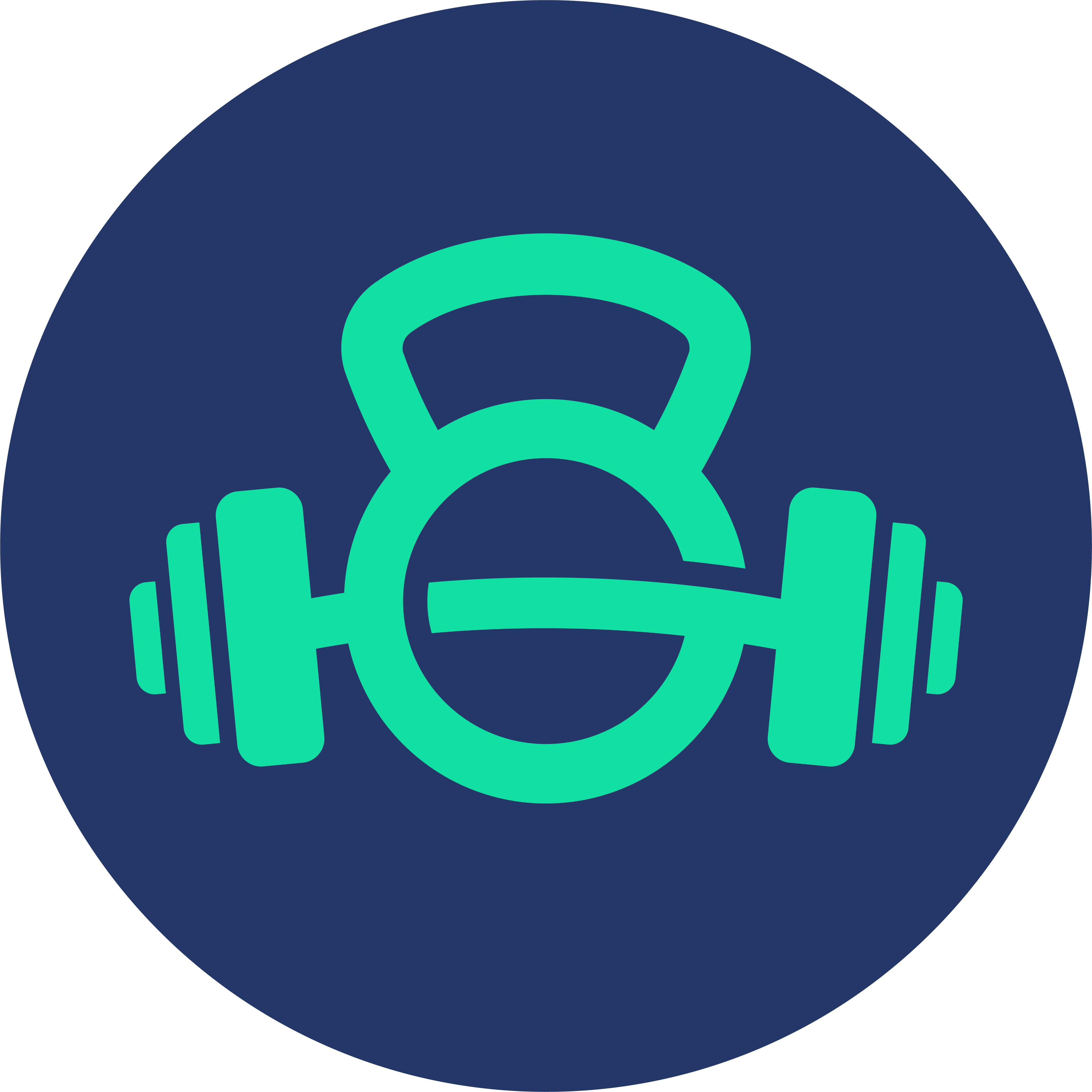 DailyFitness logo