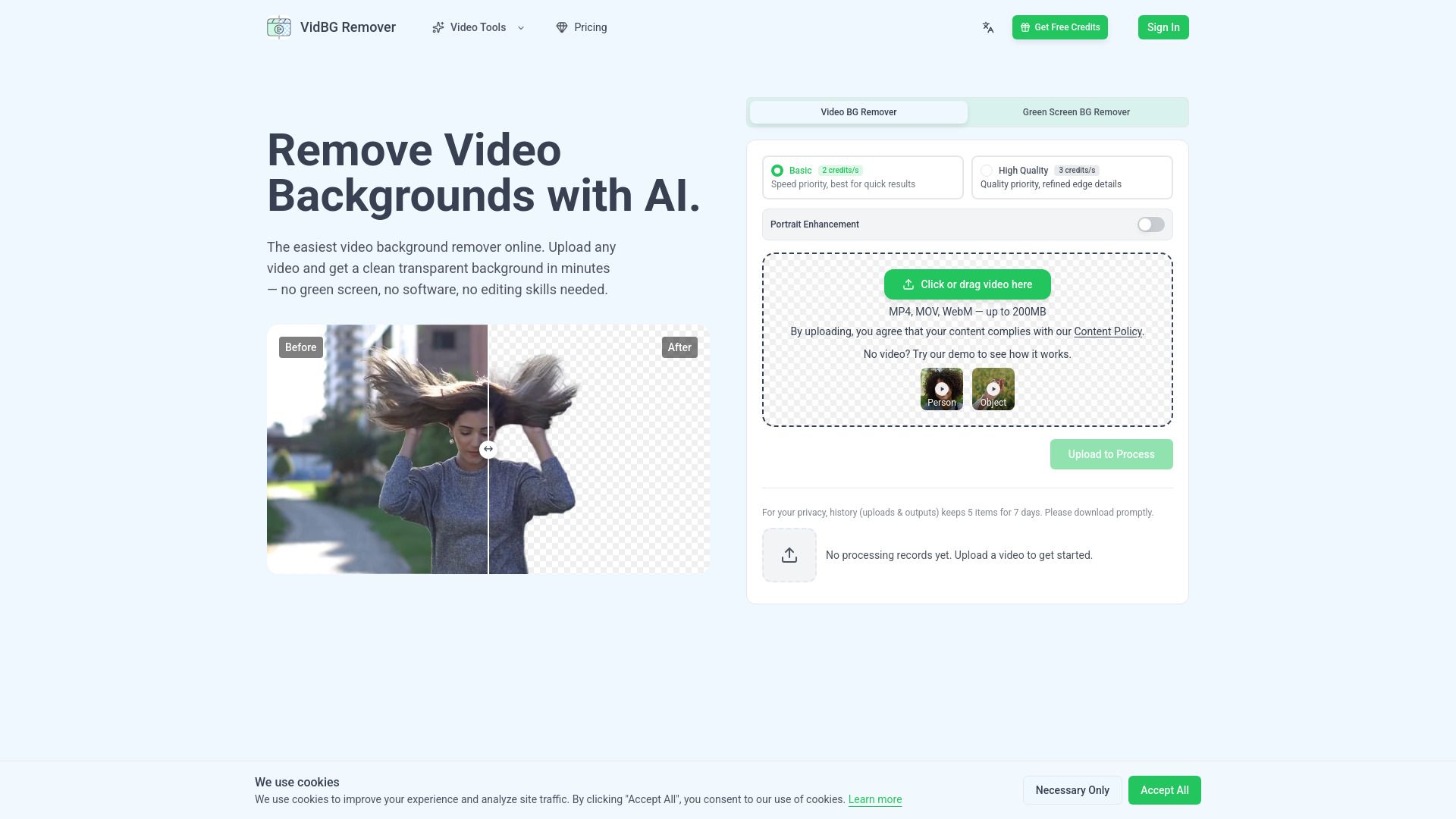 VidBG Remover