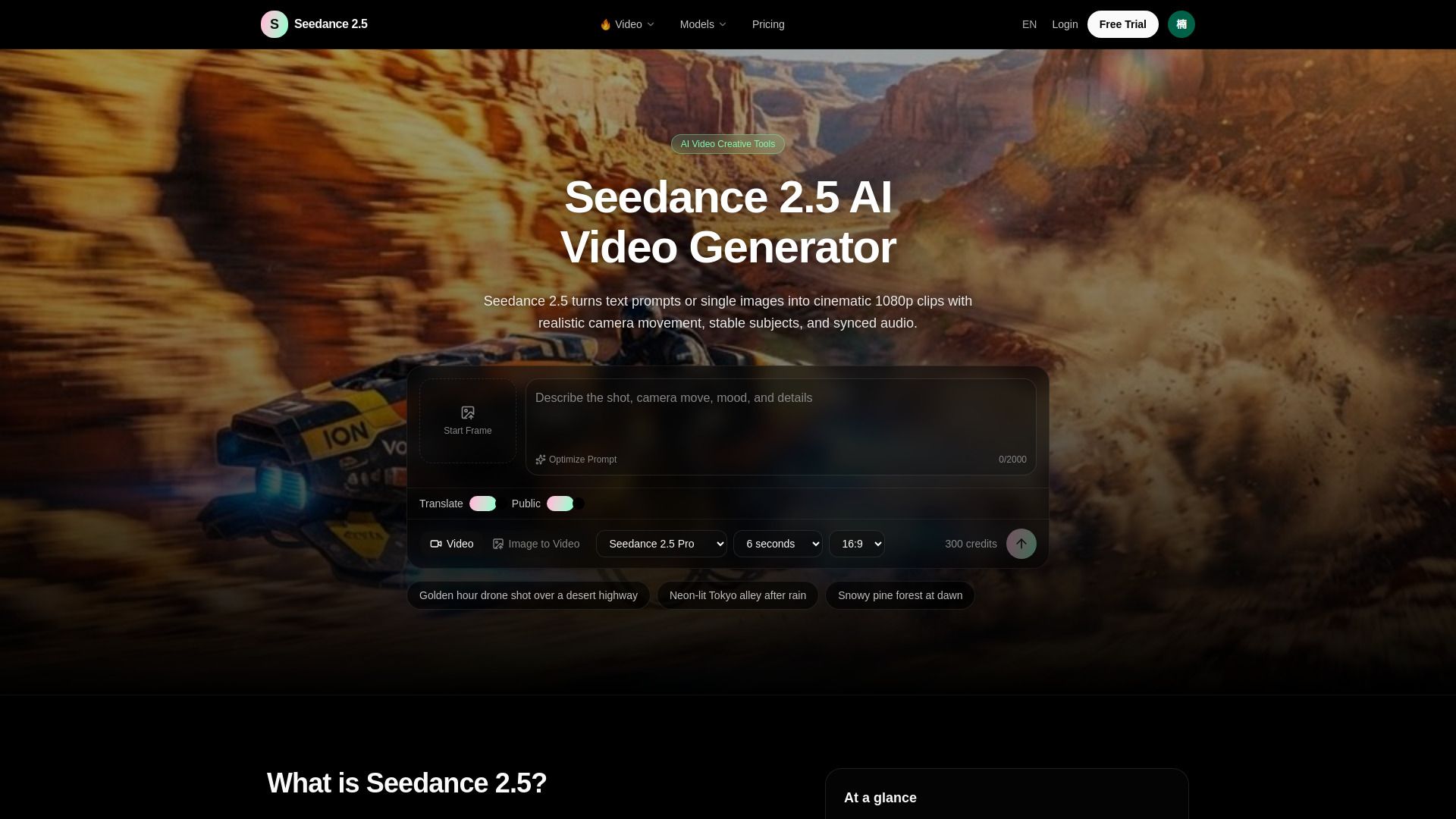 Seedance 2.5 -top