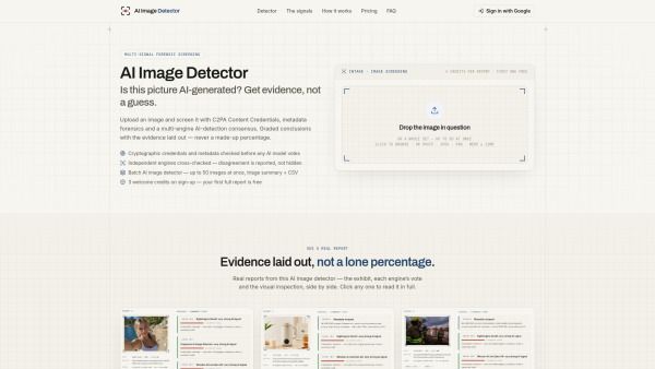 AI Image Detector -1