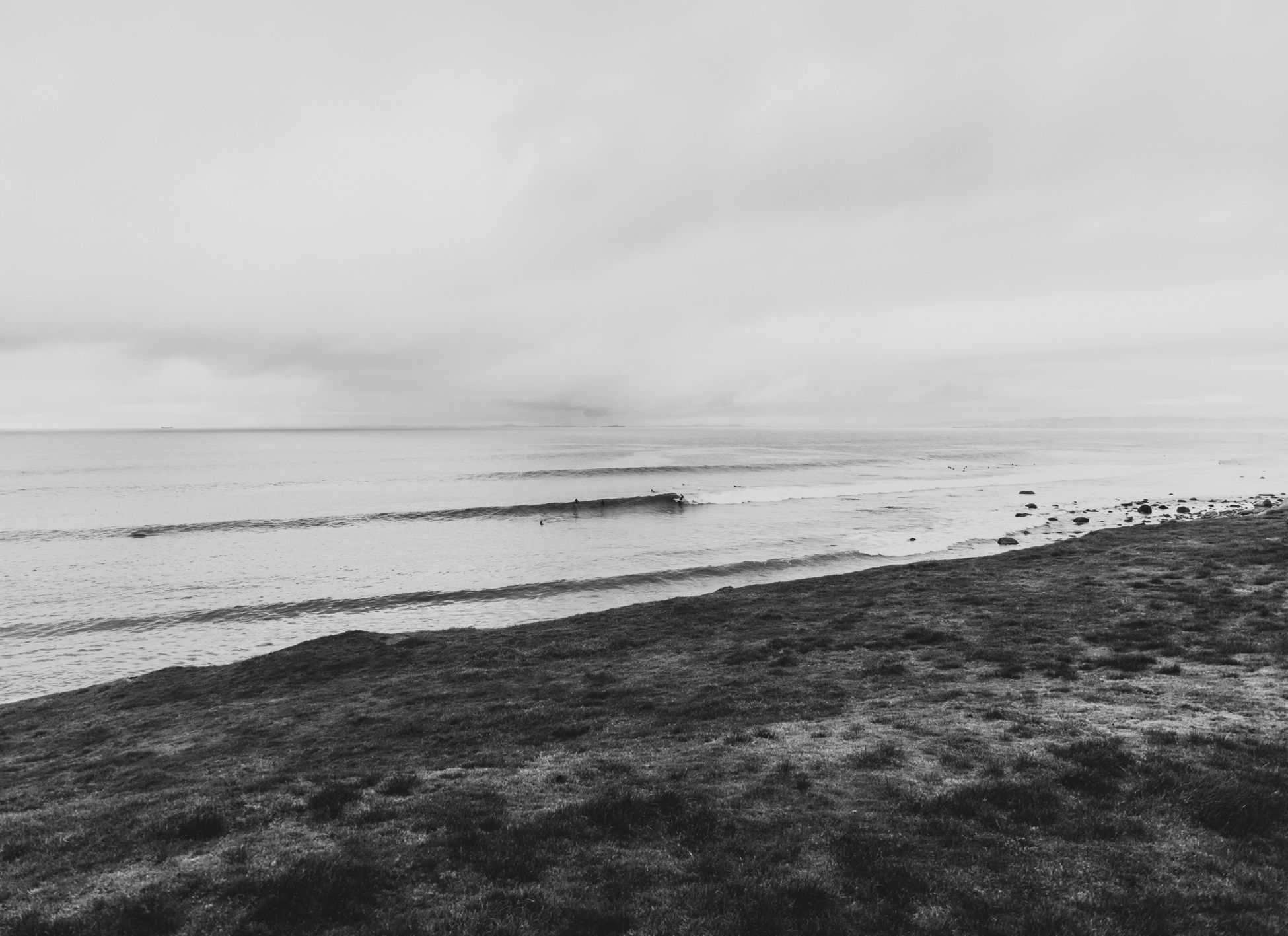 Black and white view of surfers riding small waves near a grassy shoreline