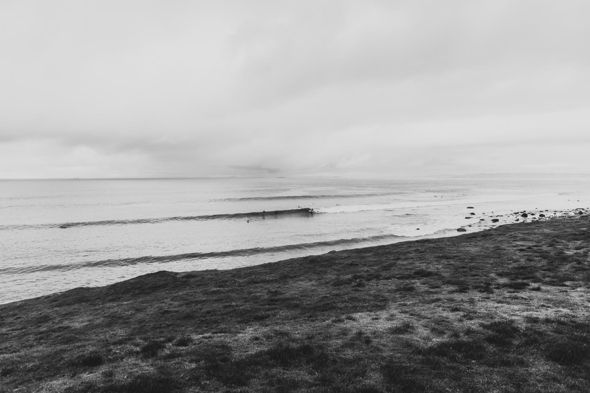 Black and white view of surfers riding small waves near a grassy shoreline