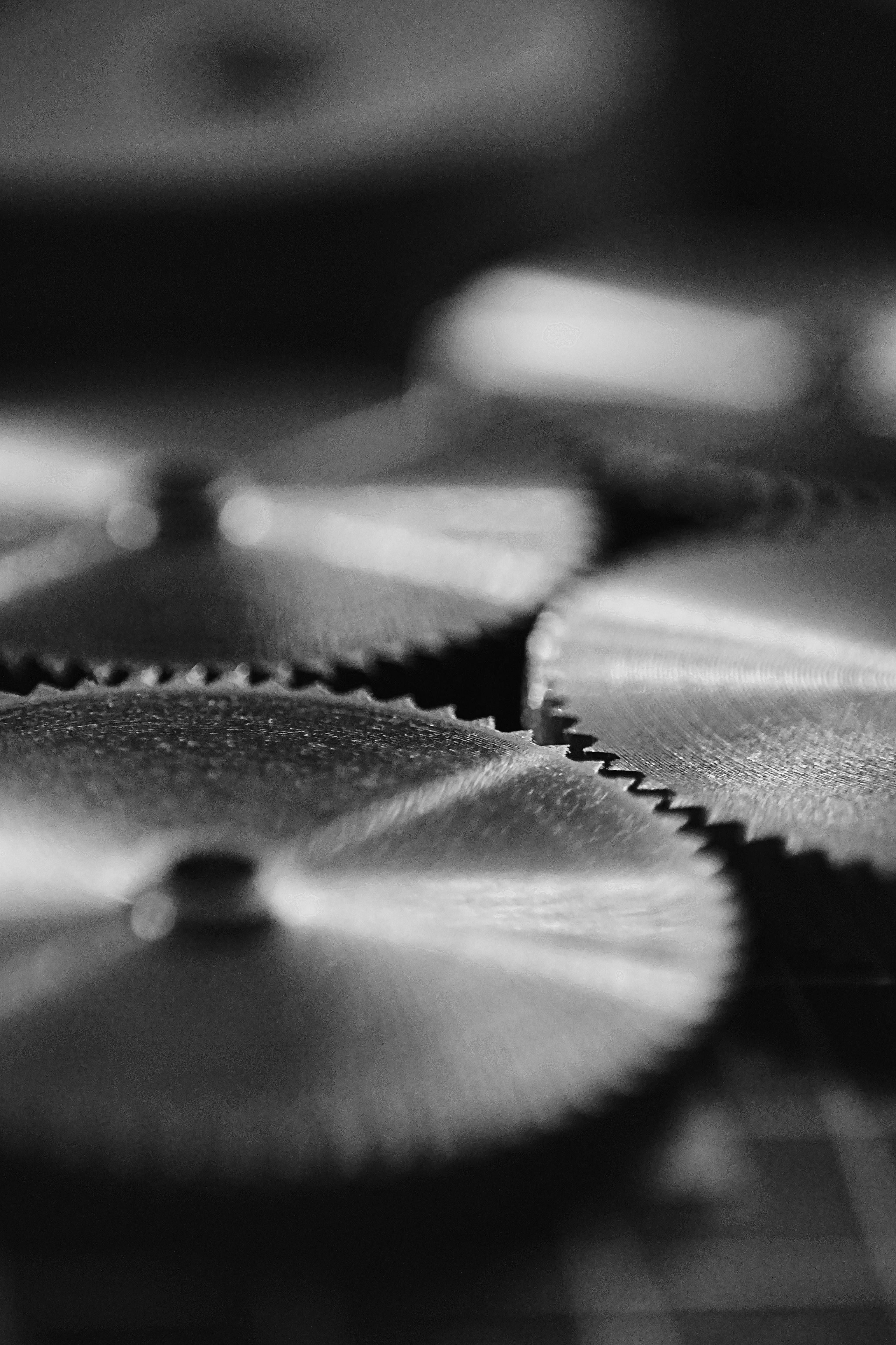 Black-and-white close-up of overlapping circular saw blades with sharp teeth
