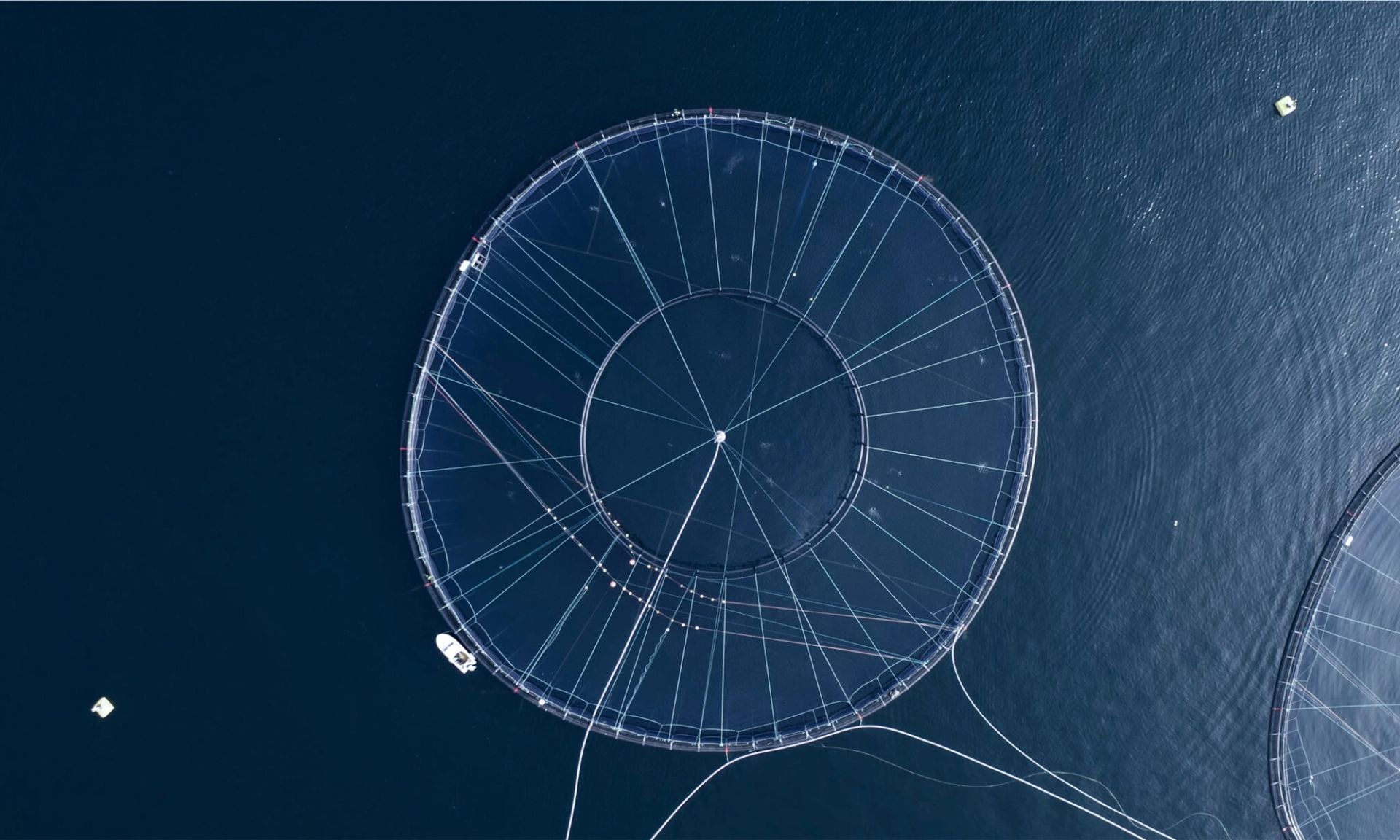 A fish net seen from above