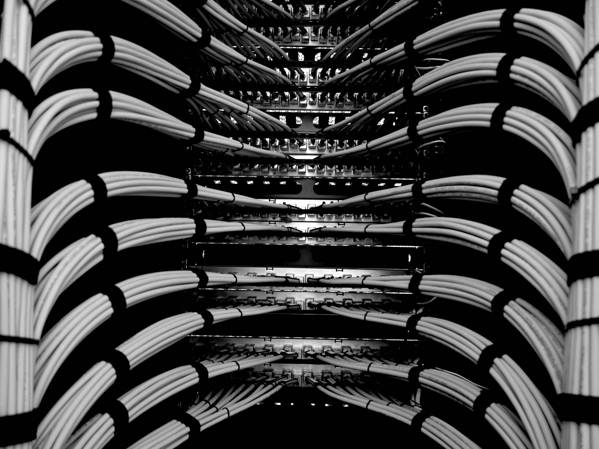 Black-and-white view of neatly bundled network cables inside a server rack