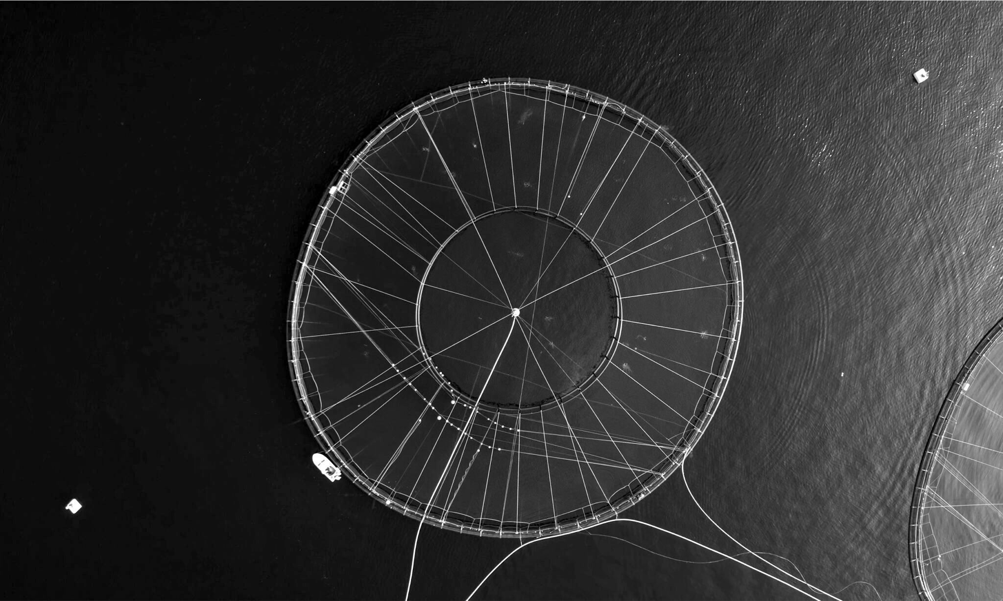 A fish net seen from above 