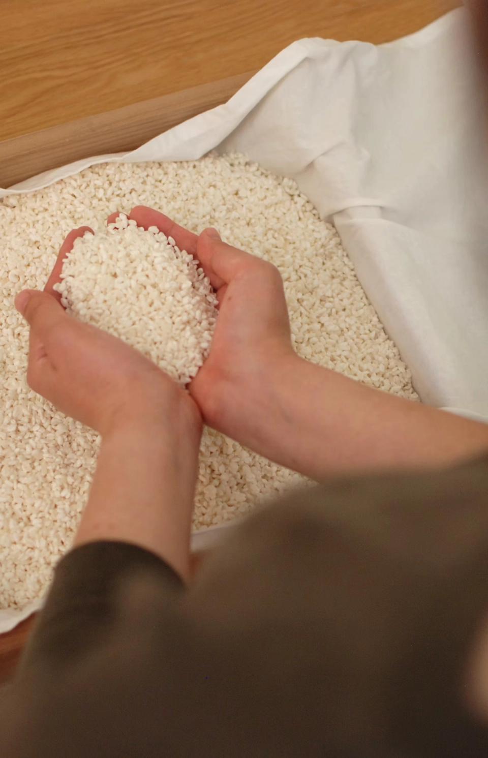 Fermenta Atlas