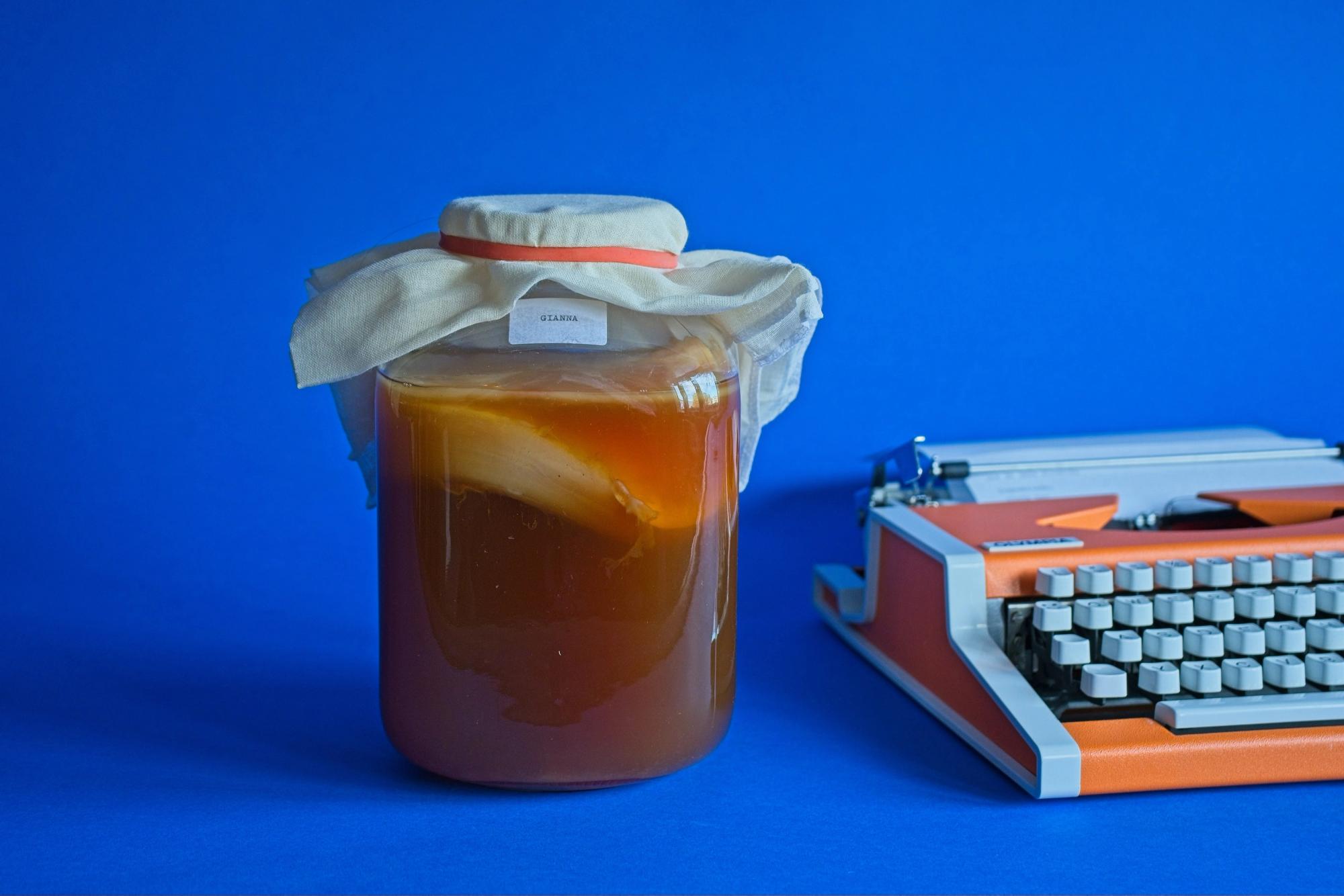 Fermenta Atlas