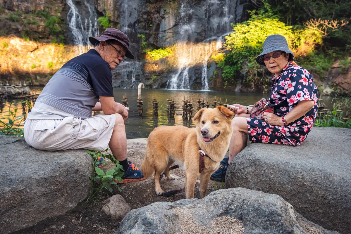 An elderly couple sit in front of a waterfall at sunset with their dog at the Hongjecheon stream in Seoul