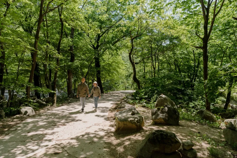 A couple walking hand in hand along a forested mountain path, surrounded by lush green trees and large rocks, in Seoul.