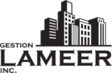 Lameer logo