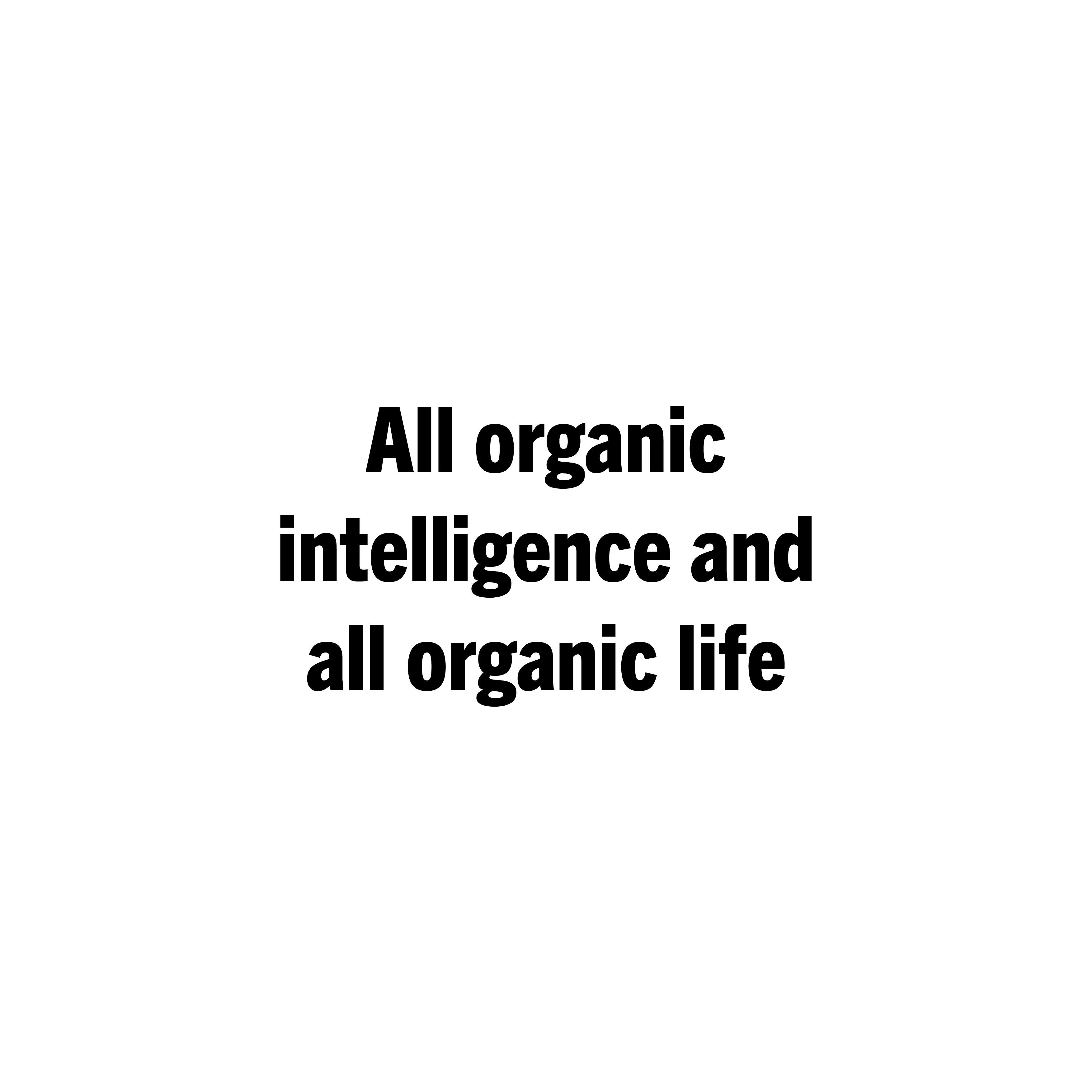 https://cdn.sanity.io/images/5x8foz9g/production/3648d5a37c1de37adf2dec17bb4409dd0e9a9fa8-3508x3508.jpg
