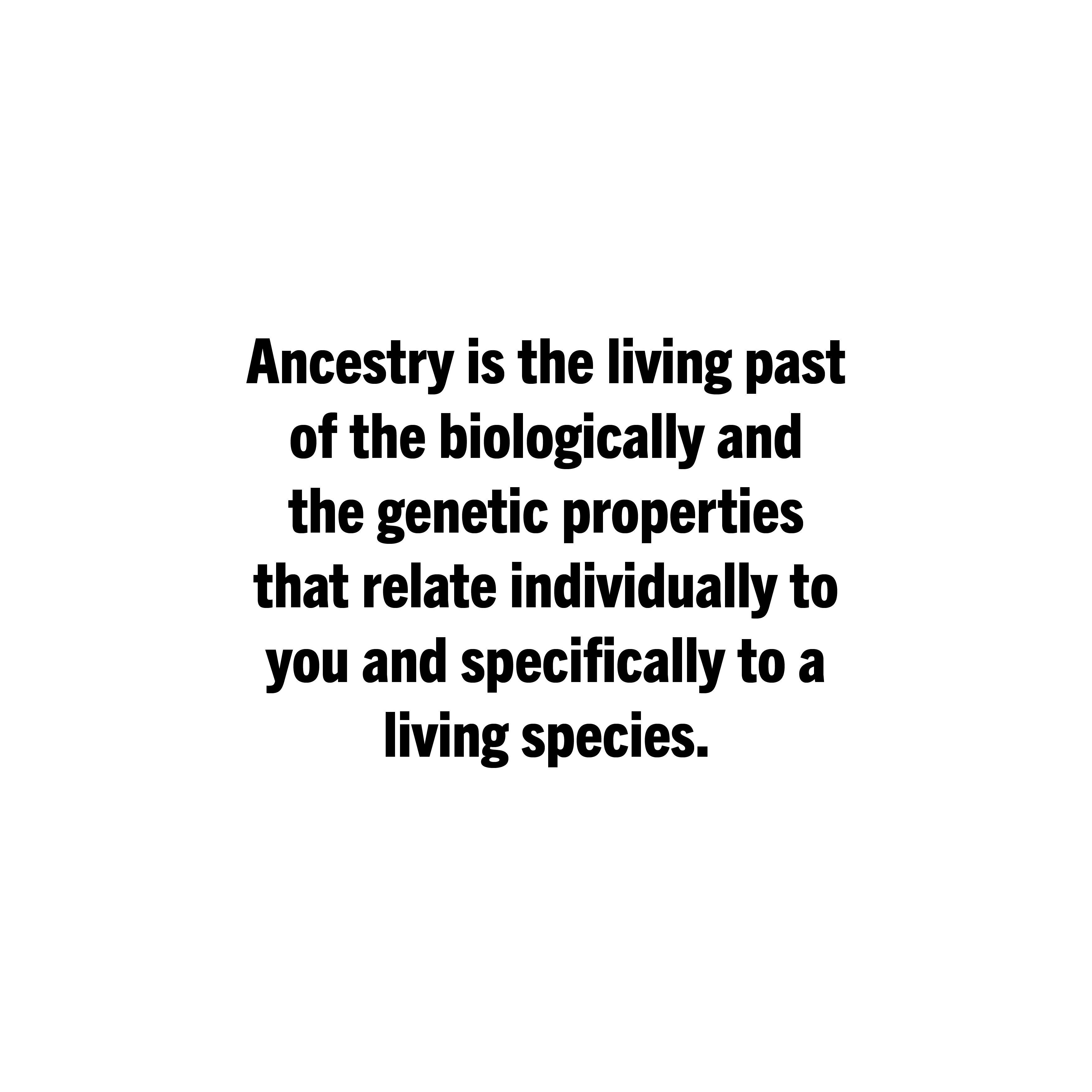 https://cdn.sanity.io/images/5x8foz9g/production/55c5fefadb7eb7328b4cc7c09f65e14b96d65dc0-3508x3508.jpg