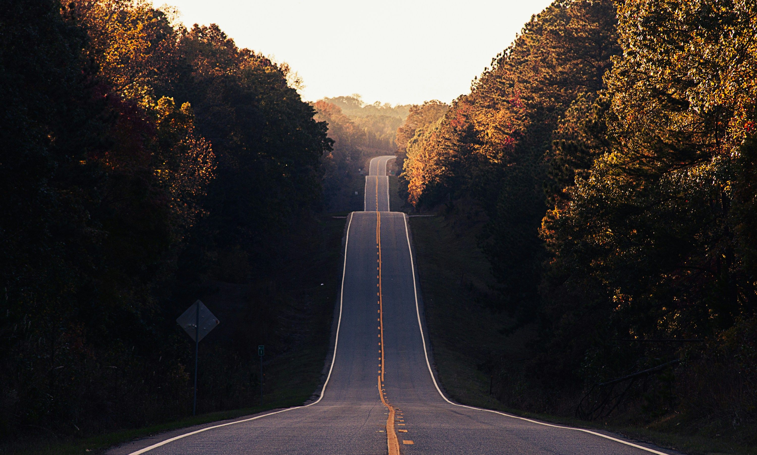 Photo of a hilly road through a forest by Matt Foxx on Unsplash