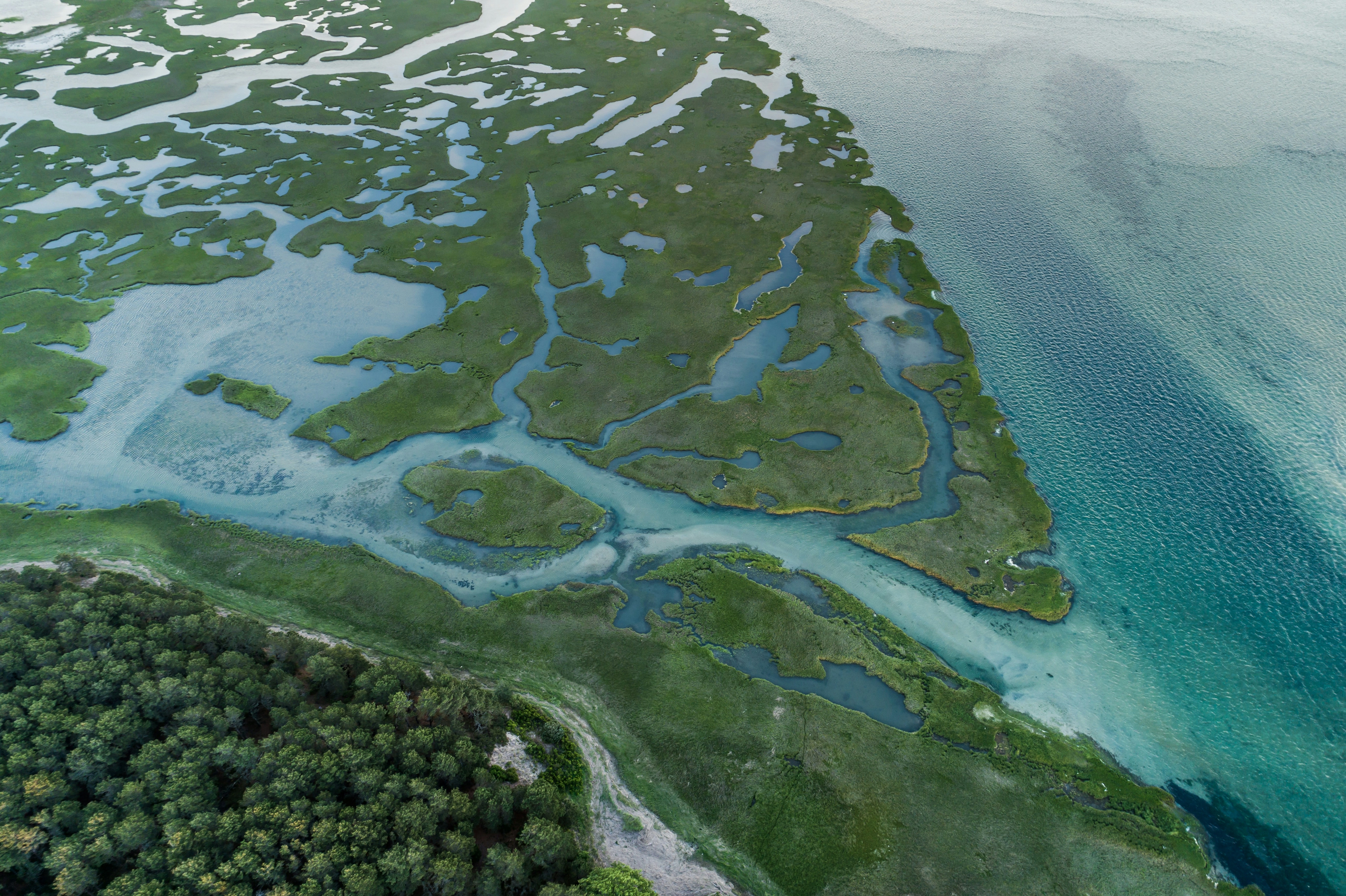 Photo by Nathan Anderson aerial photography of an island on Unsplash