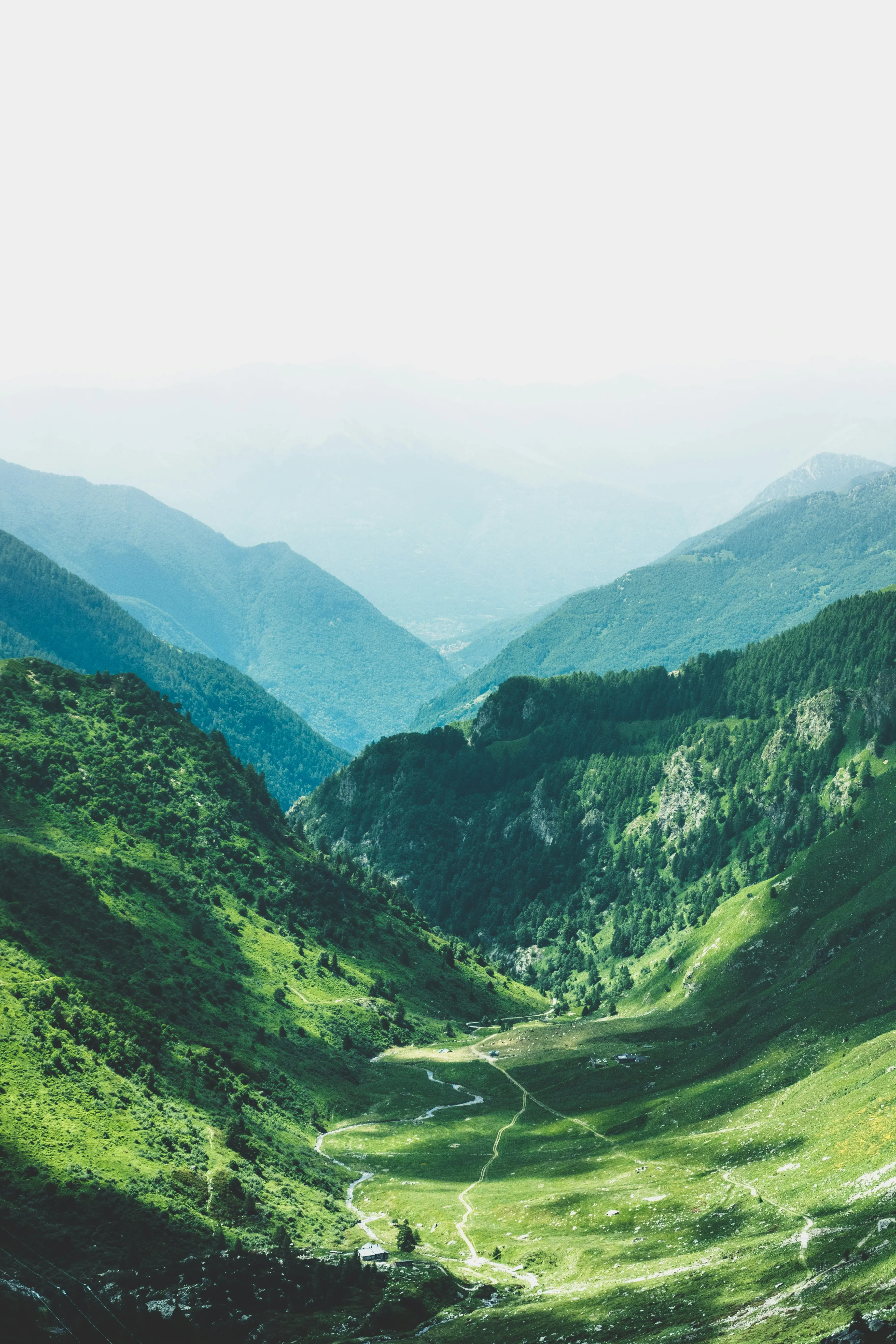 Festival of Flourishing week 2: amplifying recovery