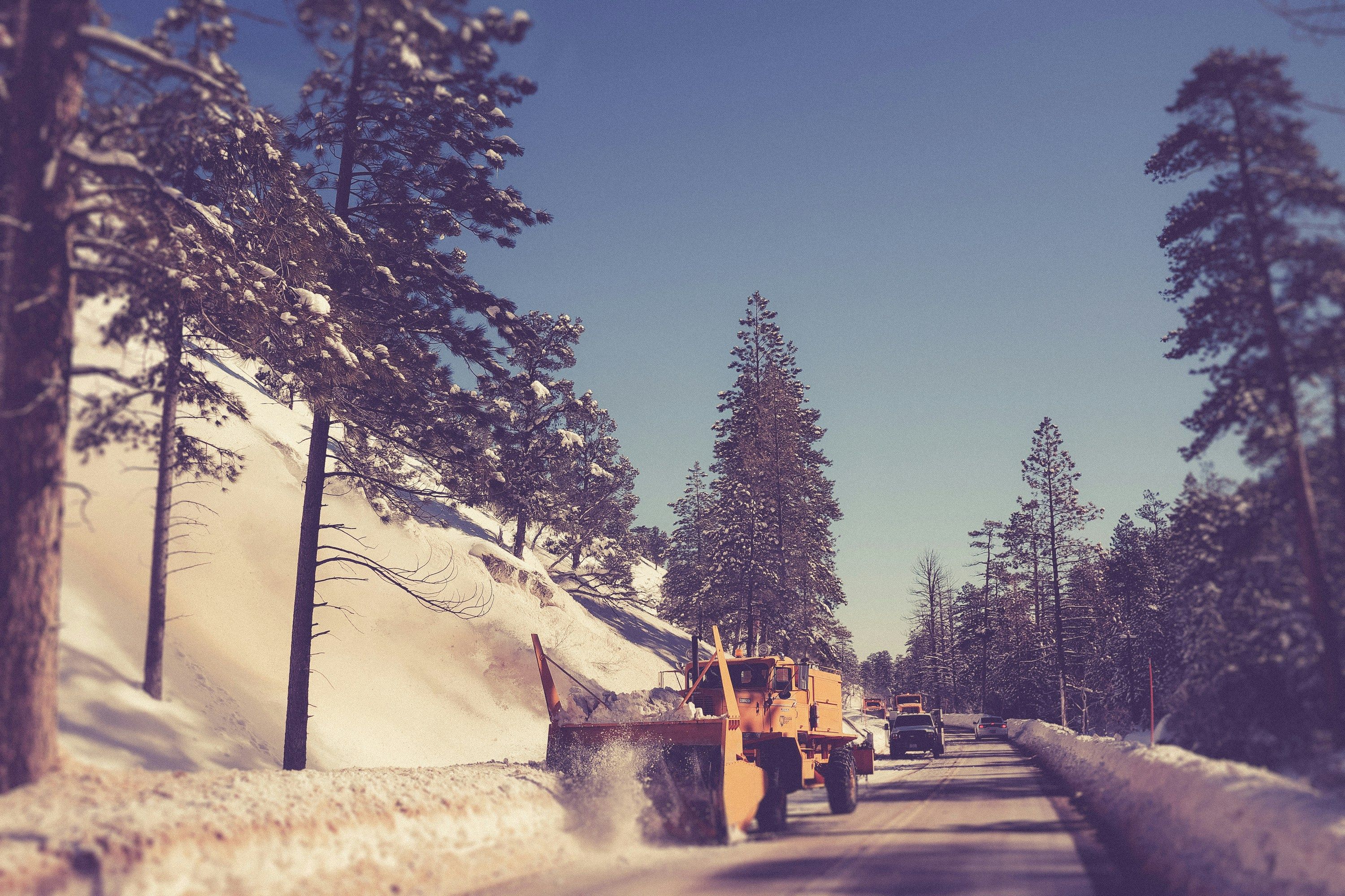 Photo by Kenny Eliason of a snowplough clearing a road between pine tress on Unsplash