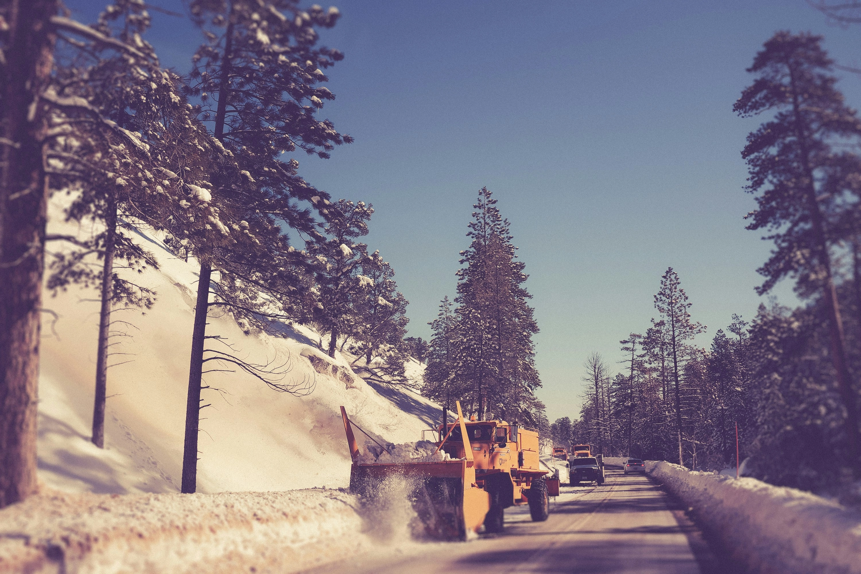 Photo by Kenny Eliason of a snowplough clearing a road between pine tress on Unsplash