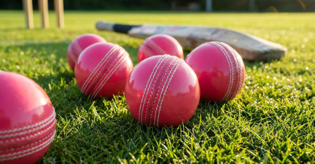 Beth Mooney and Sophie Devine Shine in Women's Auction