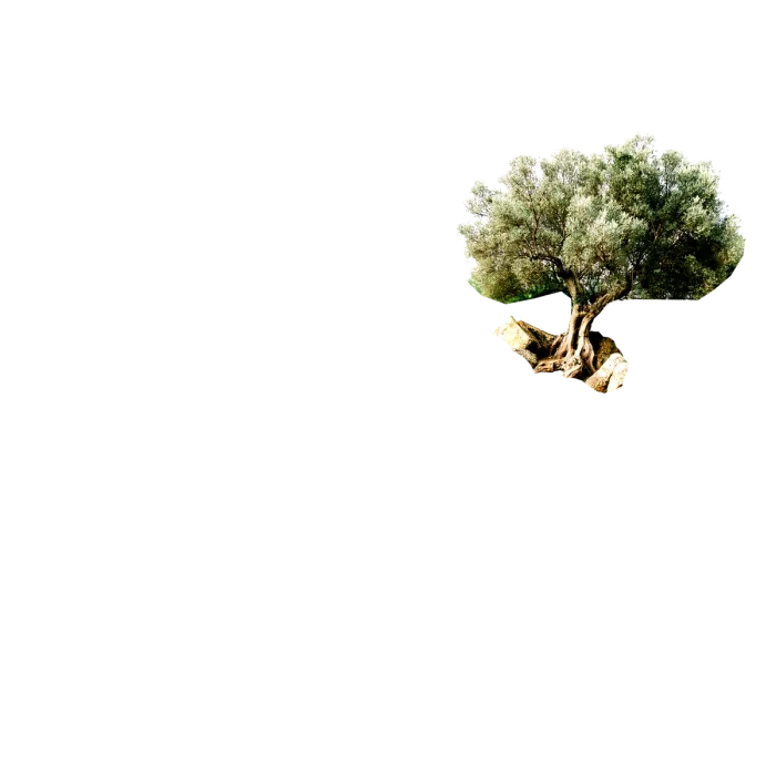 Mon Coeur Côtes du Rhône '19