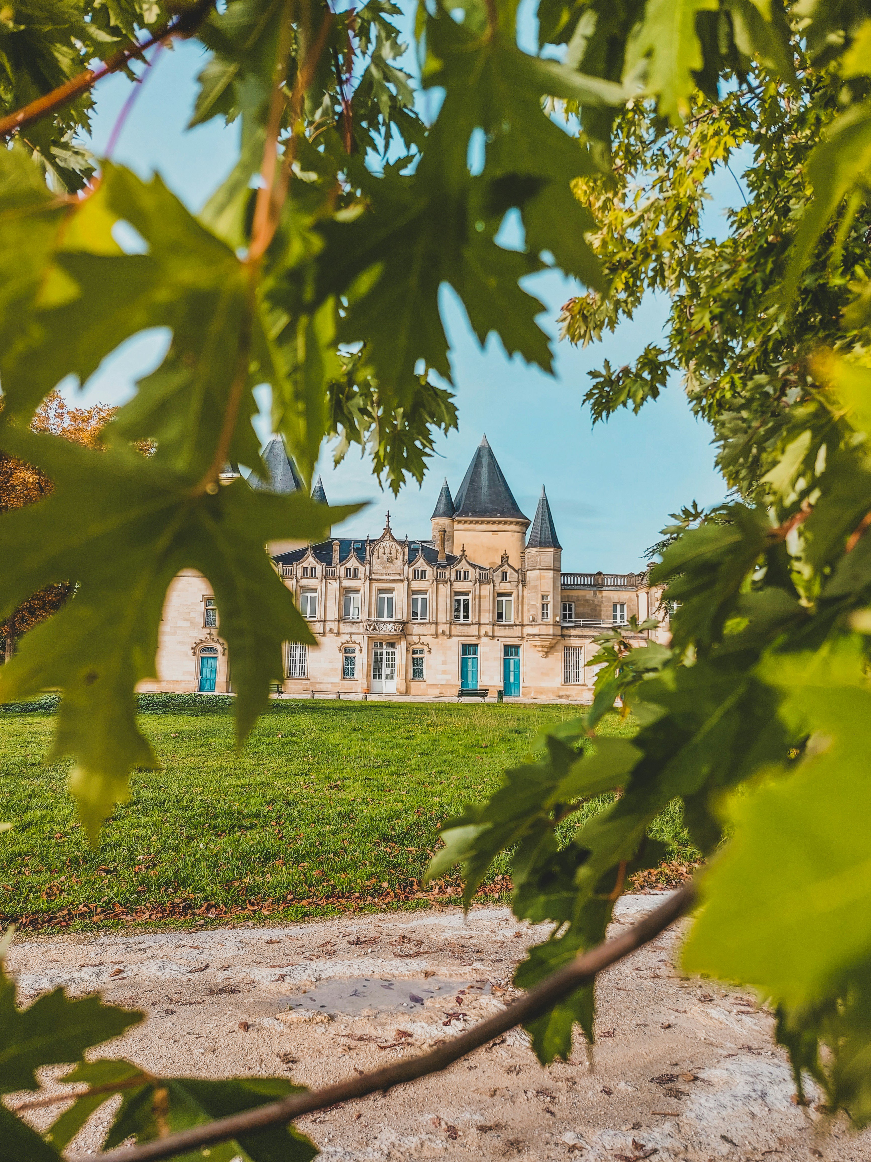 Turreted Bordeaux château glimpsed through oak leaves on a summer afternoon