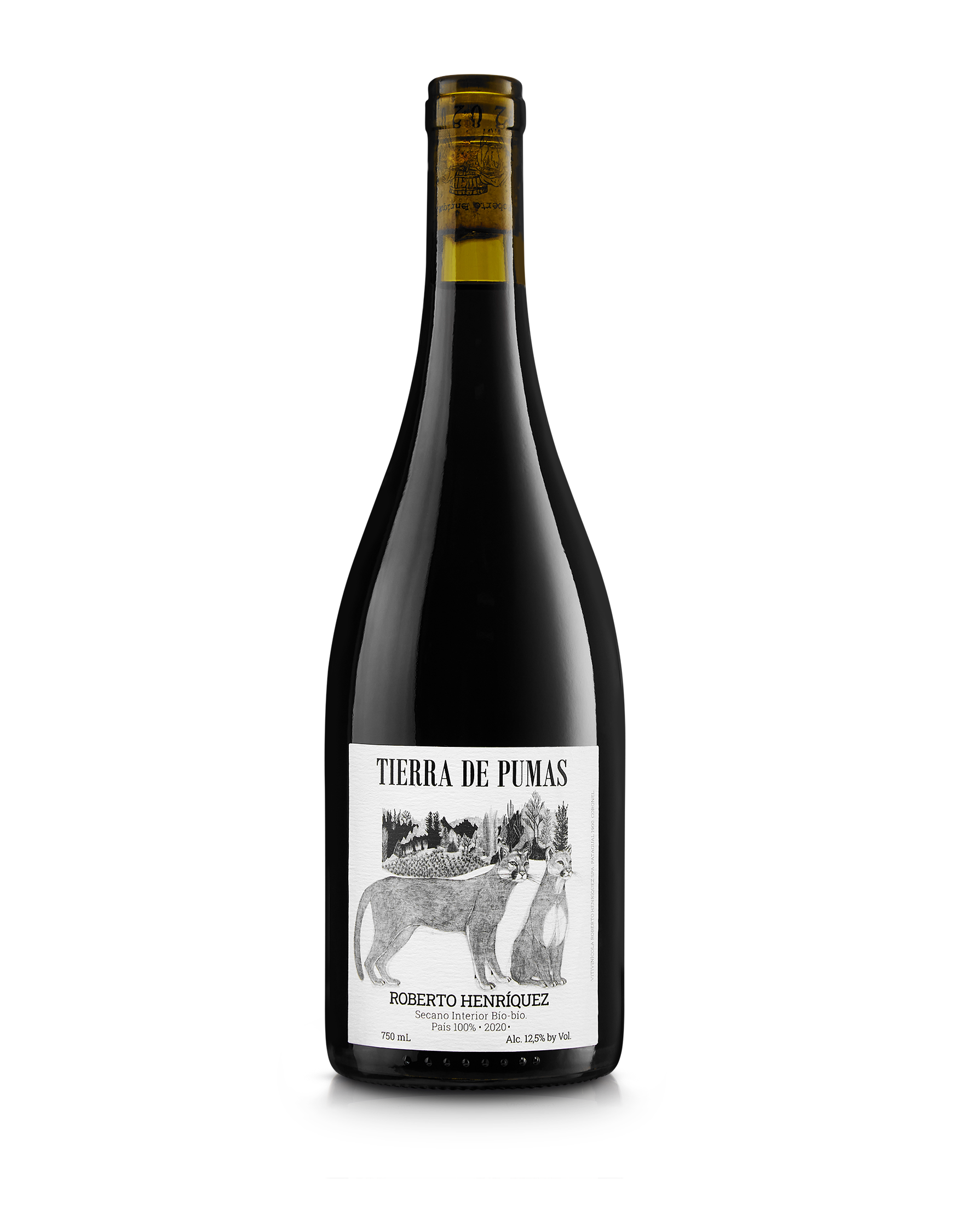 Tierra de Pumas Roberto Henriquez