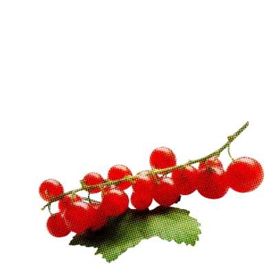 Les Perrières Bourgogne Rouge