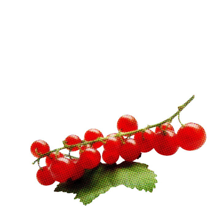 Les Perrières Bourgogne Rouge